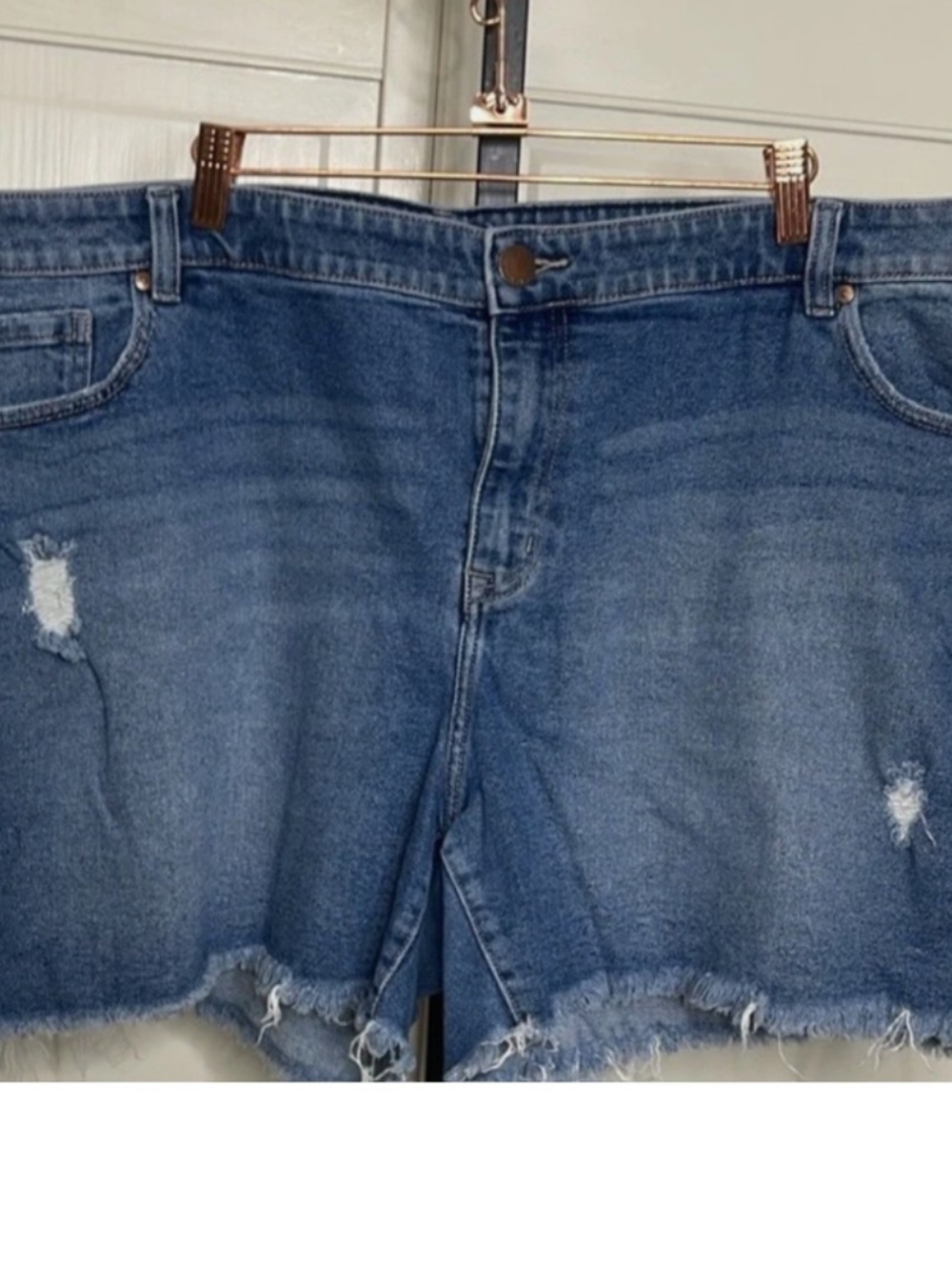 🌻Lane Bryant Distressed Frayed Hem Denim Shorts - Blue